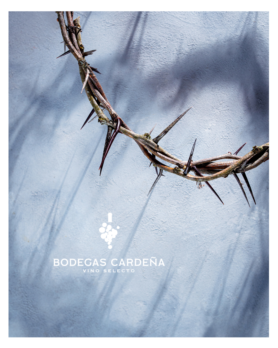 Vino de Madrid para Semana Santa